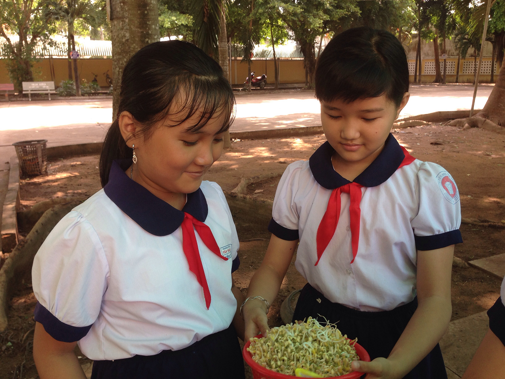 Niềm vui khi thu hoạch giá.png